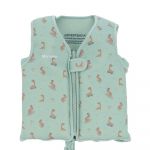 Monneka Colete Flutuador Cool Dinos 2-3A