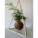 Fios Jardins Suspensos Kokedama Asparagus Setaceus + Estrutura em Pirâmide de 50cm