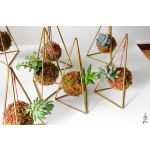 Fios Jardins Suspensos Kokedama com Mini Sucuelnta com Estrutura em Pirâmide 22cm