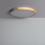 Iluzzia Painel LED Circular CCT Semi-Dari 36W Ø500 mm Tª Verde 220-240V AC36 W 7