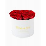 Flores no Cais Caixa de Rosas Vermelhas Preservadas
