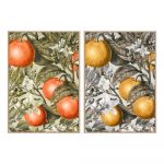 DKD Home Decor Pintura Fruta (2 Pcs) (53 x 4.5 x 73 cm) - S3017935