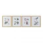 DKD Home Decor Pintura Tela Plantas Botânicas (4 Pcs) (43 x 3 x 53 cm) - S3013715