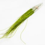 Bright Grass 90cm 100gr Verde Claro - 90508851