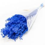 Brooms 50cm 100gr Azul - 90508911