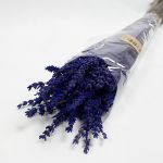 Lavandula Preservada 45cm / 150 Gr Azul - 90451181
