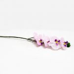 Phalaenopsis 80cm Rosa Artificial - 90171742