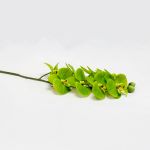 Phalaenopsis 80cm Verde Artificial - 90171740