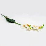 Phalaenopsis Artificial Bege com Folhas - 60cm - 90171715