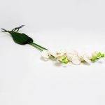Phalaenopsis Artificial Branca com Folhas - 60cm - 90171714