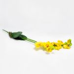 Phalaenopsis Artificial Amarela com Folhas - 60cm - 90171712