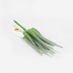 Succulent Rhoda 18cm Artificial - 90284518