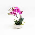 Phalaenopsis 25cm Rosa Artificial - 90371762