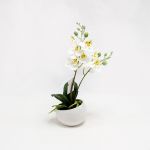 Phalaenopsis 25cm Branca Artificial - 90371761