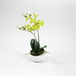 Phalaenopsis 25cm Verde Artificial - 90371760