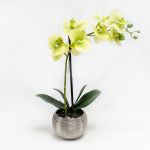 Phalaenopsis 40cm Verde Artificial - 90371753