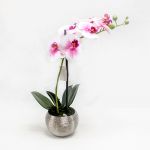 Phalaenopsis 40cm Rosa Artificial - 90371752
