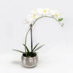 Phalaenopsis 40cm Branca Artificial - 90371751