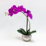 Phalaenopsis 40cm Fuschia Artificial - 90371750