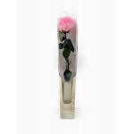 Flores no Cais Rosa Cor-de-Rosa Preservada