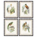 DKD Home Decor Pintura Pássaros (50 x 2 x 60 cm) (4 Pcs)