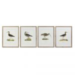 DKD Home Decor Pintura Pássaros (55 x 2.5 x 70 cm) (4 Pcs)