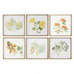 DKD Home Decor Pintura Plantas Botânicas (50 x 2.8 x 50 cm) (6 Pcs)