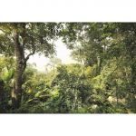 La Maison Papel de Parede Fotográfico Dschungel