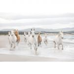 La Maison Papel de Parede Fotográfico White Horses