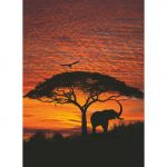 La Maison Papel de Parede Fotográfico African Sunset