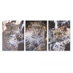 DKD Home Decor Pintura Leopardo (50 x 1.8 x 70 cm) (3 pcs) - S3018176