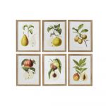 DKD Home Decor Pintura Fruta (6 pcs) (45 x 2 x 60 cm) - S3017916