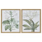 DKD Home Decor Pintura Plantas botânicas (2 pcs) (43 x 3 x 53 cm) - S3017854