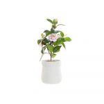 DKD Home Decor Planta Decorativa Branco Verde Cor de Rosa Pvc Eva (23 x 18 x 38 cm) - S3020115
