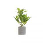 DKD Home Decor Planta Decorativa Verde Cinzento Pvc Eva (18 x 18 x 32 cm) - S3020111