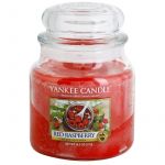 Yankee Candle Red Raspberry Classic Medium Candle 411g