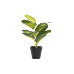 DKD Home Decor Planta Decorativa Preto Verde Pvc Pp (25 x 25 x 30 cm) - S3030550