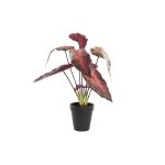 DKD Home Decor Planta Decorativa Vermelho Castanho-avermelhado Pe (20 x 20 x 38 cm) - S3030544