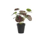 DKD Home Decor Planta Decorativa Cor de Rosa Verde Pe (10 x 10 x 27 cm) - S3030538