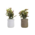 DKD Home Decor Planta Decorativa Castanho Branco Verde Eva Pe (16 x 16 x 21 cm) (2 Unidades) - S3030521