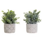 DKD Home Decor Planta Decorativa Vaso Verde Resina Pe (10,5 x 10,5 x 24 cm) (2 Unidades) - S3020173