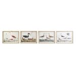 DKD Home Decor Pintura Pássaros Moderno (60 x 2,8 x 45 cm) (4 Unidades)