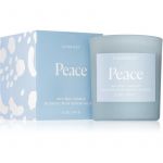 Paddywax Wellness Peace Vela Perfumada 141 g