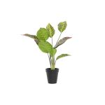 DKD Home Decor Planta Decorativa Laranja Verde Pe (20 x 20 x 49 cm) - S3030547