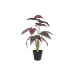 DKD Home Decor Planta Decorativa Verde Castanho-avermelhado Pe (20 x 20 x 49 cm) - S3030543