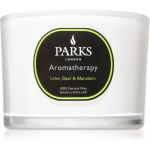 Parks London Aromatherapy Lime, Basil & Mandarin Vela Perfumada 80 g