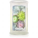 Kringle Classic Candle Succulents Vela Perfumada 624g