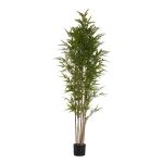 Ibergarden Planta Decorativa Bambu Verde Plástico (80 x 180 x 80 cm) - S3611148