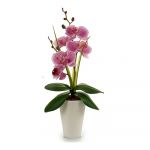 Ibergarden Planta Decorativa Orquídea Plástico (8 x 35 x 14 cm) - S3607811