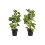 DKD Home Decor Planta Decorativa Verde Pp Pe Figueira (24 x 22 x 35 cm) (2 Unidades) - S3030687